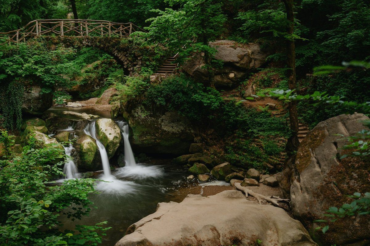 Petite cascade entre des rochers moussus, sous une passerelle en bois, dans la forêt