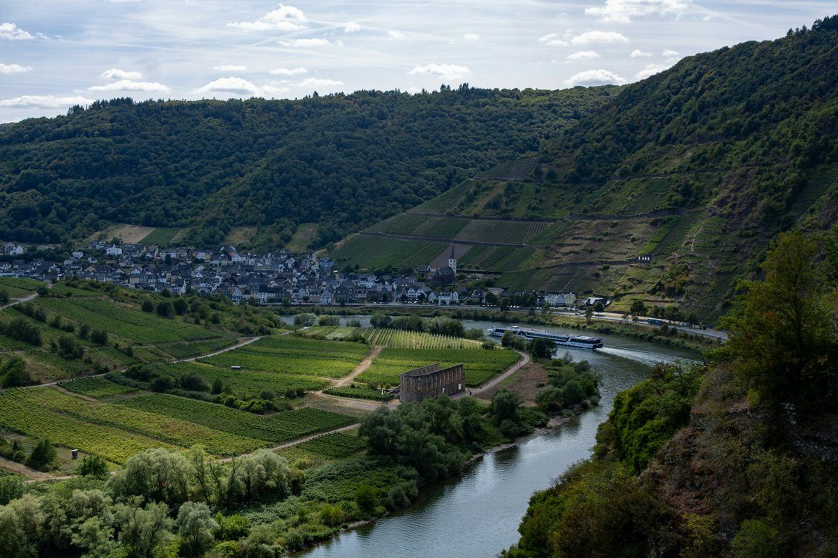Vallée de la Moselle avec un village, des vignes en terrasses et un bateau sur la rivière